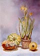 " Le retour des jonquilles "